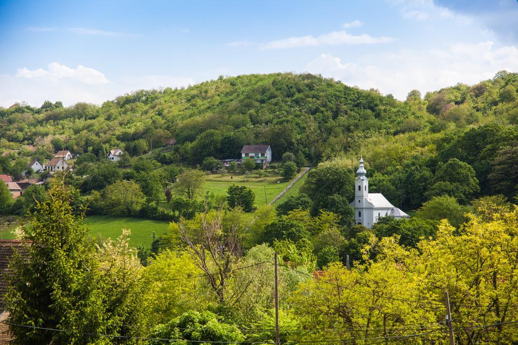 Lótuszvirág Vendégház Szekszárd Exterior foto