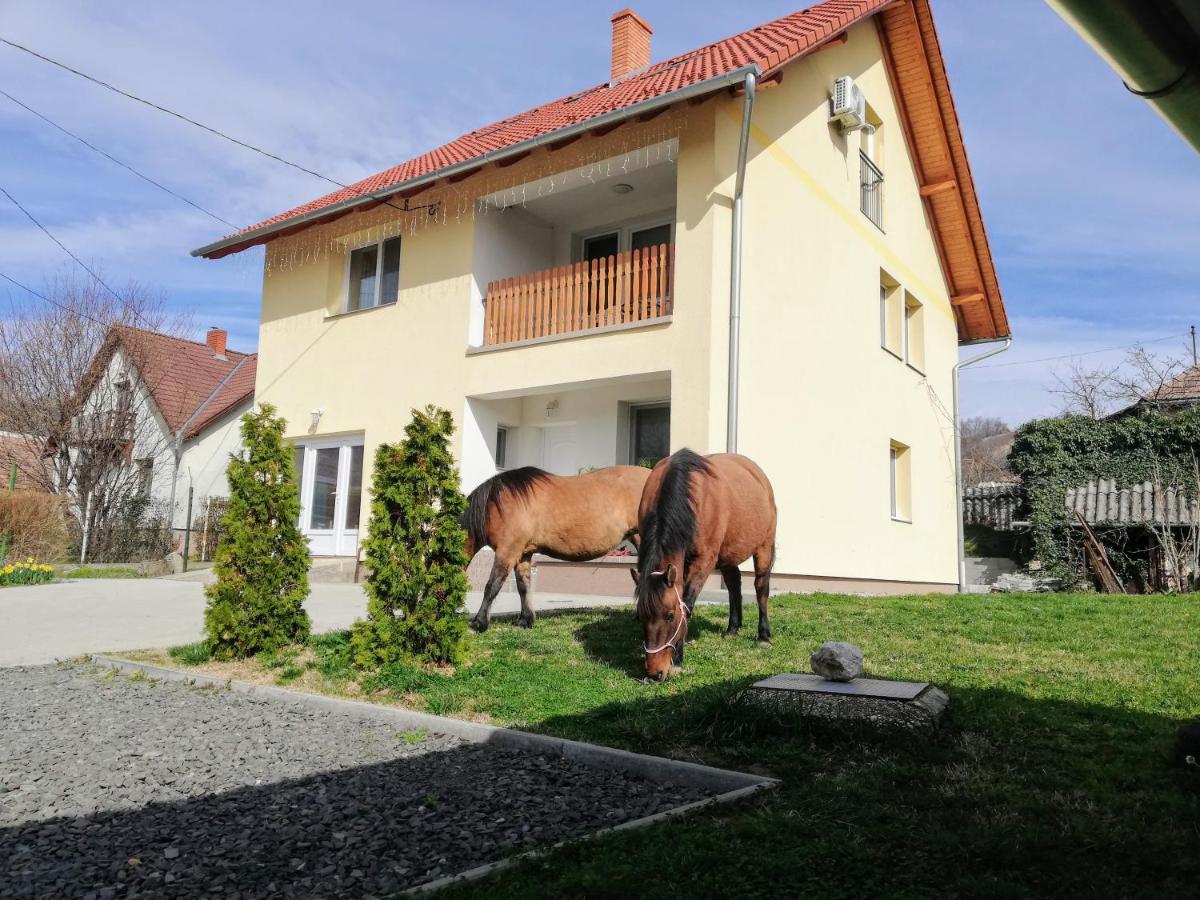 Lótuszvirág Vendégház Szekszárd Exterior foto